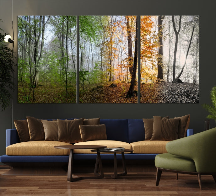 Bring the Beauty of the Four Seasons in a Forest Landscape with Large Trees to Your Home with Our Wall Art Canvas Print