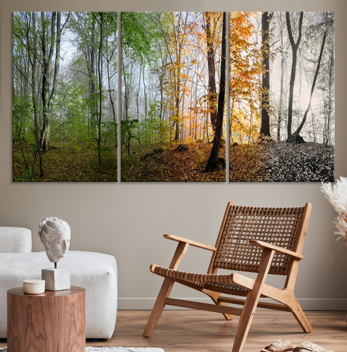 Bring the Beauty of the Four Seasons in a Forest Landscape with Large Trees to Your Home with Our Wall Art Canvas Print