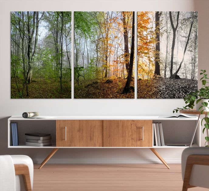 Bring the Beauty of the Four Seasons in a Forest Landscape with Large Trees to Your Home with Our Wall Art Canvas Print