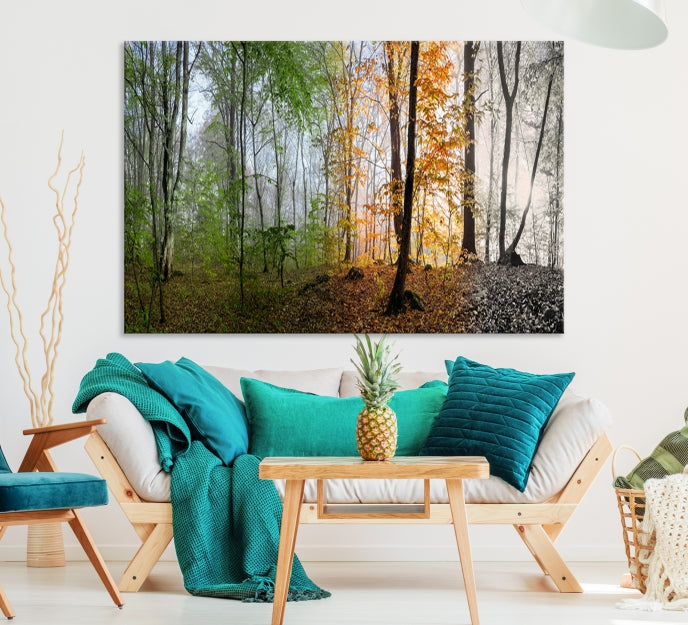 Bring the Beauty of the Four Seasons in a Forest Landscape with Large Trees to Your Home with Our Wall Art Canvas Print