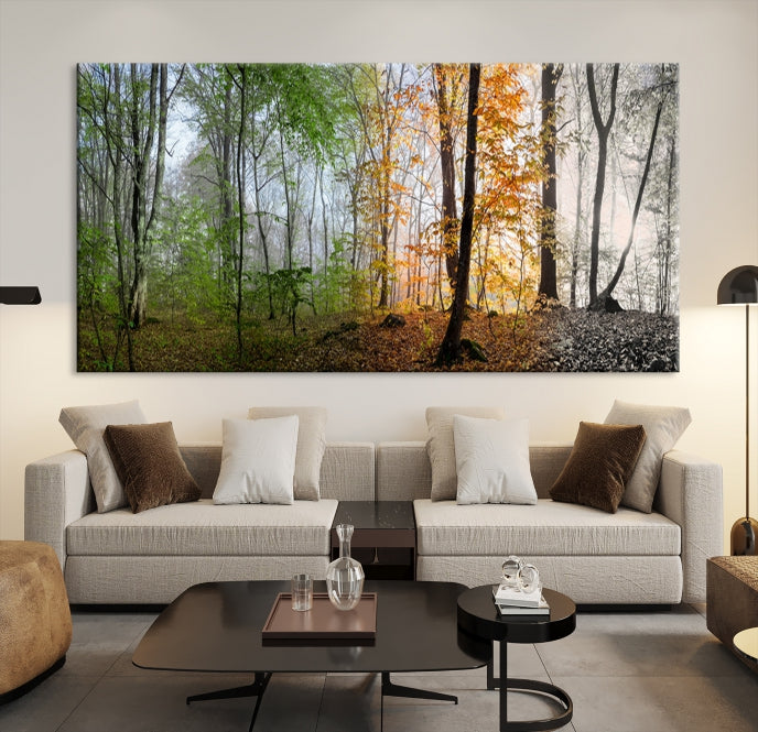 Bring the Beauty of the Four Seasons in a Forest Landscape with Large Trees to Your Home with Our Wall Art Canvas Print