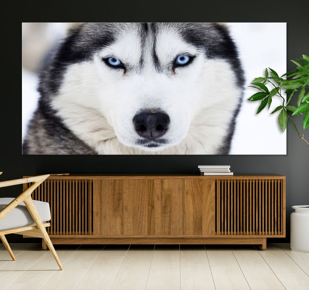 Framed Set of Wolf Print Wild Animal Canvas Wall Art Wildlife on Original Canvas