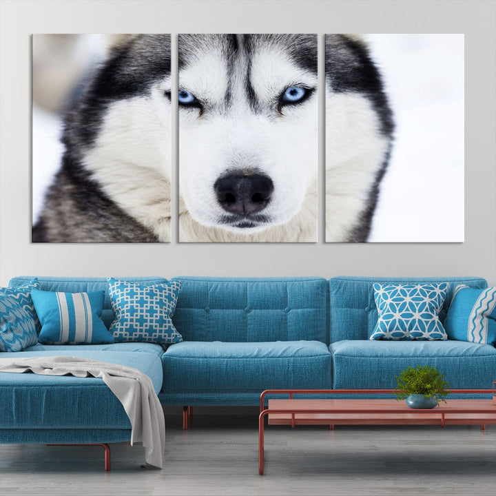 Framed Set of Wolf Print Wild Animal Canvas Wall Art Wildlife on Original Canvas