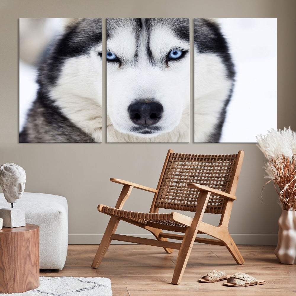 Framed Set of Wolf Print Wild Animal Canvas Wall Art Wildlife on Original Canvas