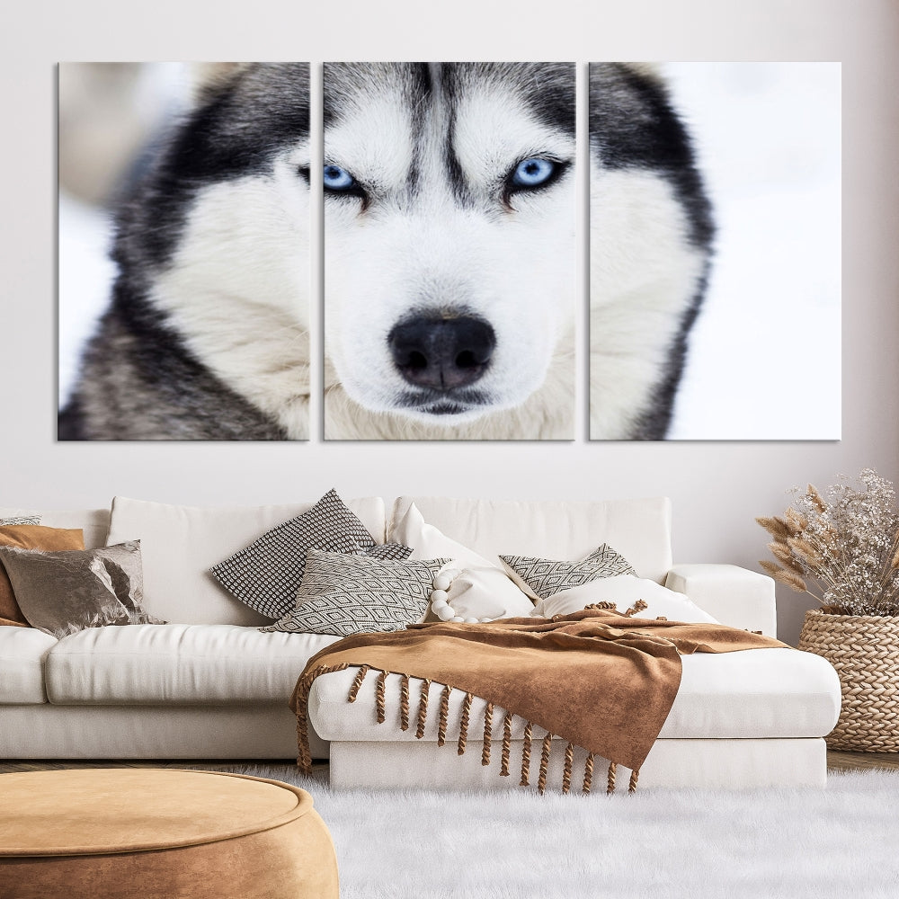 Framed Set of Wolf Print Wild Animal Canvas Wall Art Wildlife on Original Canvas