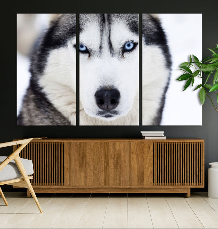 Framed Set of Wolf Print Wild Animal Canvas Wall Art Wildlife on Original Canvas