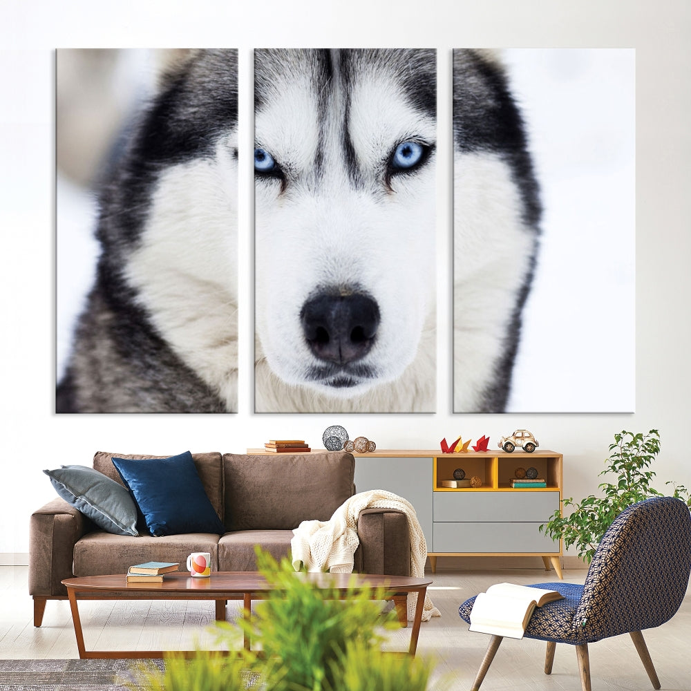 Framed Set of Wolf Print Wild Animal Canvas Wall Art Wildlife on Original Canvas