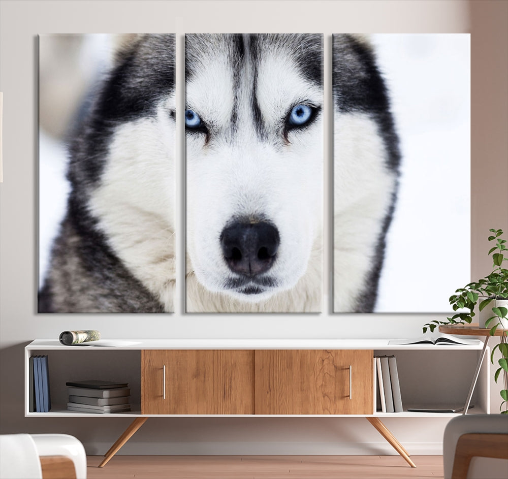 Framed Set of Wolf Print Wild Animal Canvas Wall Art Wildlife on Original Canvas