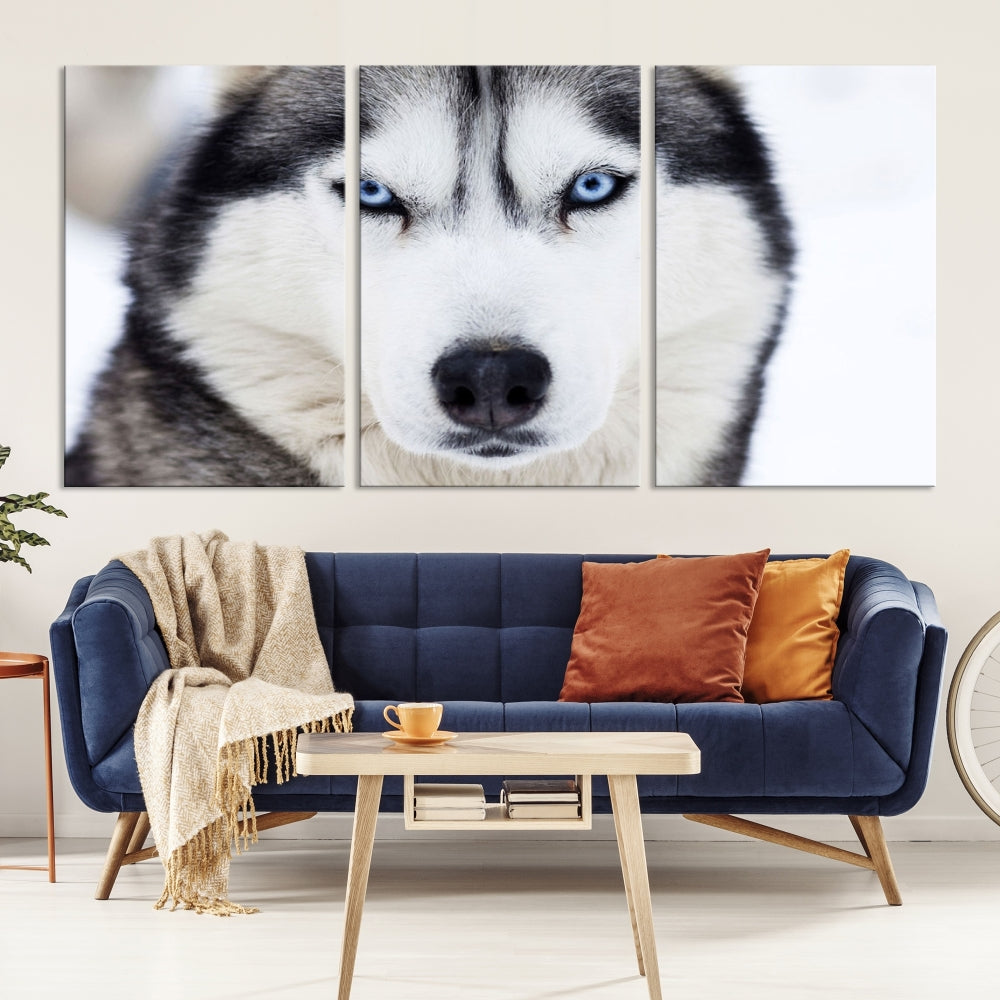 Framed Set of Wolf Print Wild Animal Canvas Wall Art Wildlife on Original Canvas