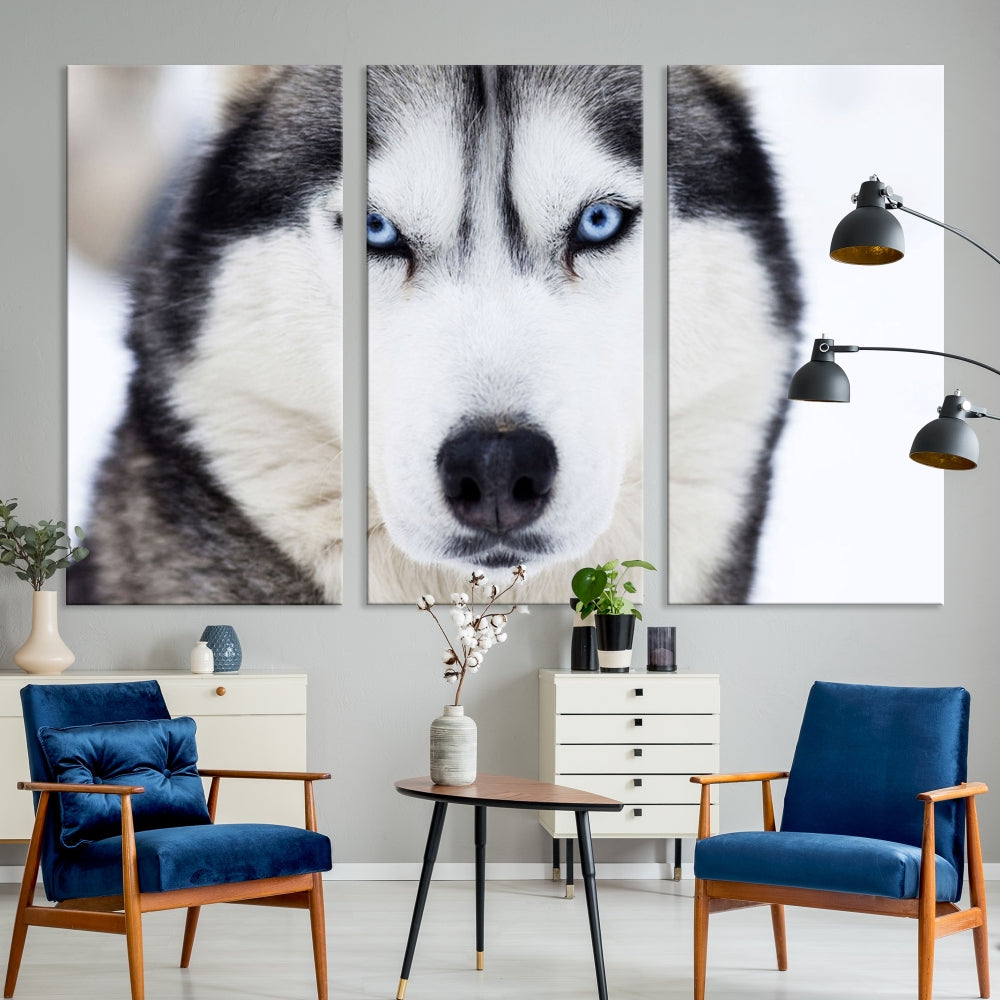 Framed Set of Wolf Print Wild Animal Canvas Wall Art Wildlife on Original Canvas