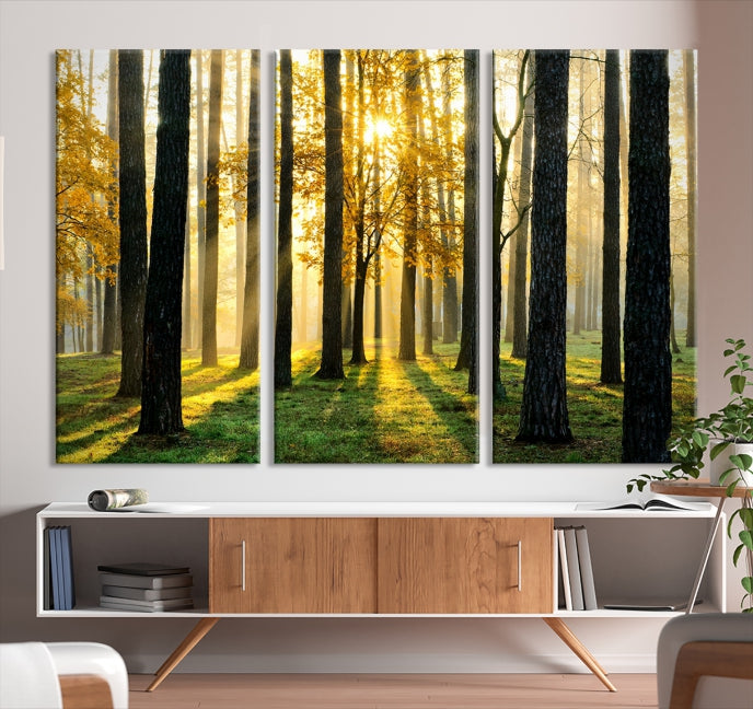 Forest Trees Sunshine Large Wall Art Canvas Print