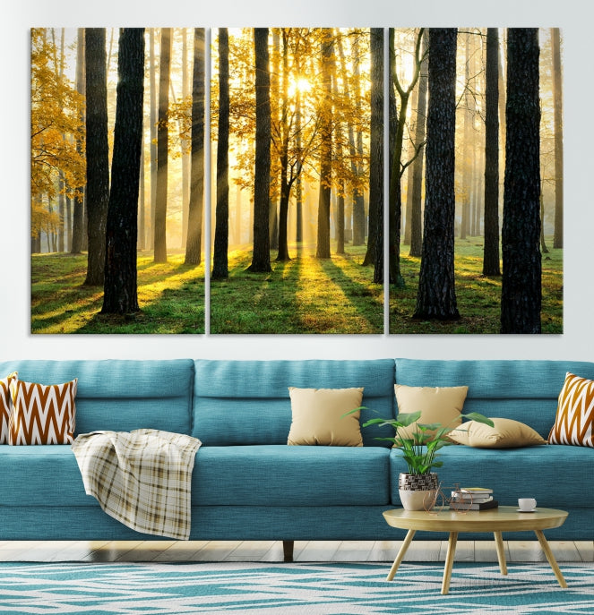 Forest Trees Sunshine Large Wall Art Canvas Print