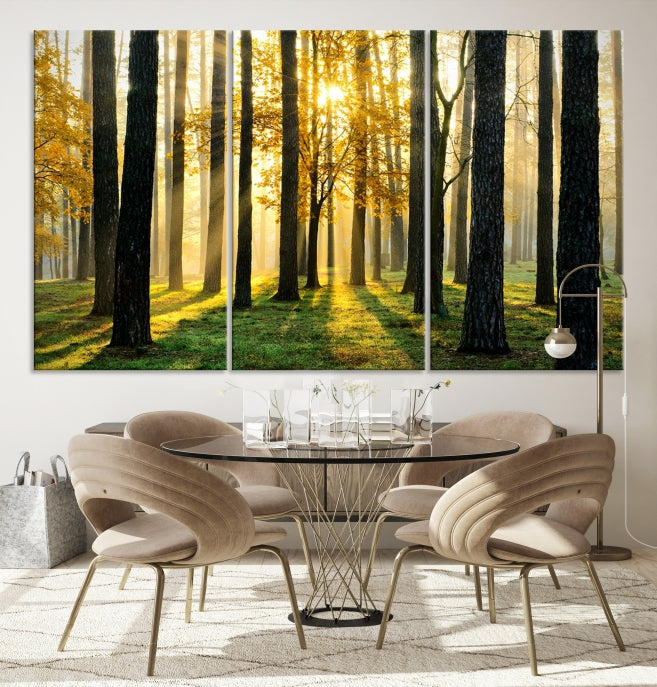 Forest Trees Sunshine Large Wall Art Canvas Print