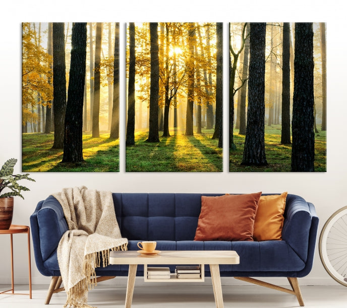 Forest Trees Sunshine Large Wall Art Canvas Print