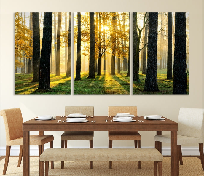 Forest Trees Sunshine Large Wall Art Canvas Print