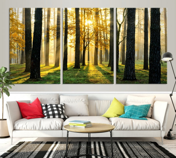 Forest Trees Sunshine Large Wall Art Canvas Print