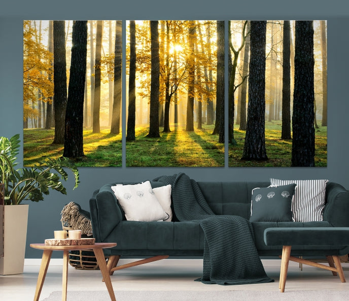 Forest Trees Sunshine Large Wall Art Canvas Print