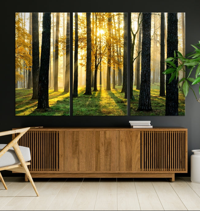 Forest Trees Sunshine Large Wall Art Canvas Print