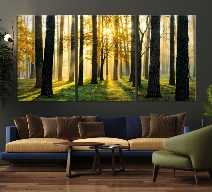 Forest Trees Sunshine Large Wall Art Canvas Print