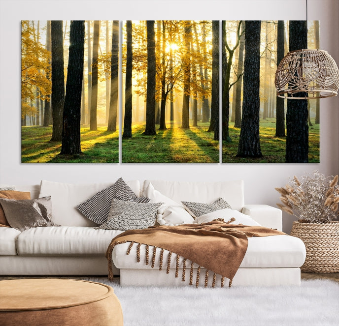 Forest Trees Sunshine Large Wall Art Canvas Print