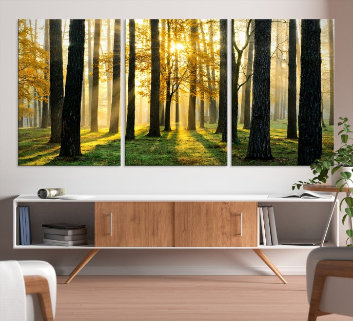 Forest Trees Sunshine Large Wall Art Canvas Print