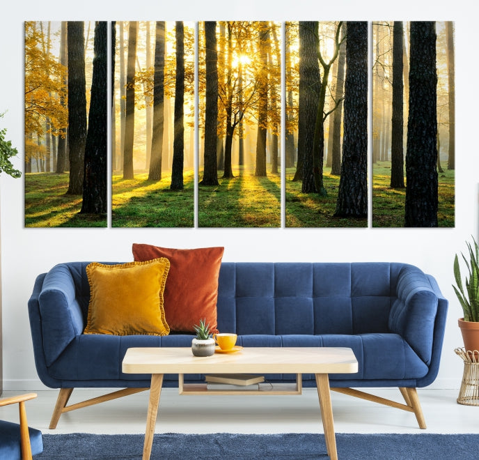 Forest Trees Sunshine Large Wall Art Canvas Print