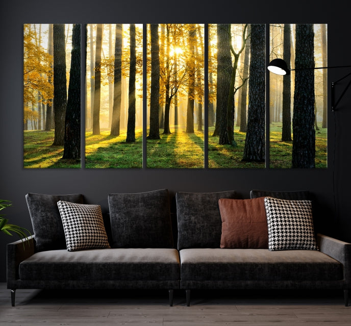 Forest Trees Sunshine Large Wall Art Canvas Print