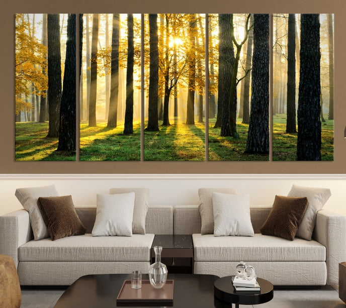 Forest Trees Sunshine Large Wall Art Canvas Print