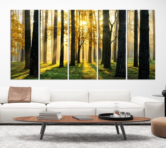 Forest Trees Sunshine Large Wall Art Canvas Print