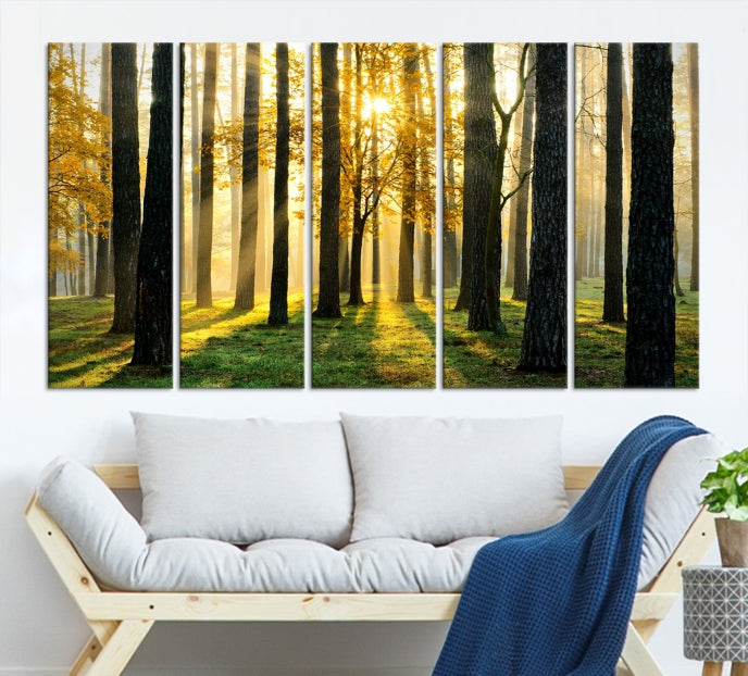 Forest Trees Sunshine Large Wall Art Canvas Print