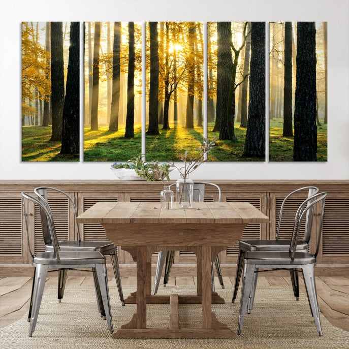 Forest Trees Sunshine Large Wall Art Canvas Print