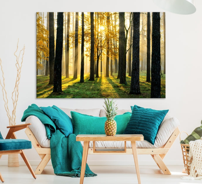 Forest Trees Sunshine Large Wall Art Canvas Print