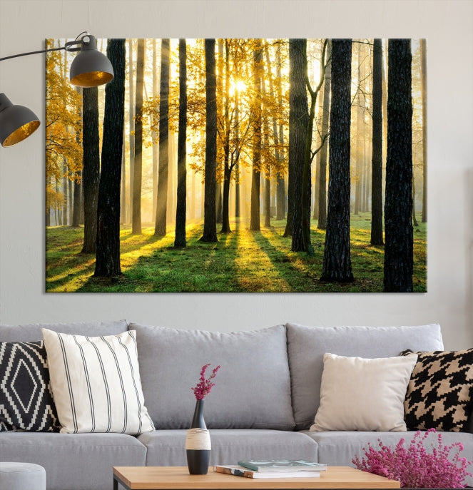 Forest Trees Sunshine Large Wall Art Canvas Print