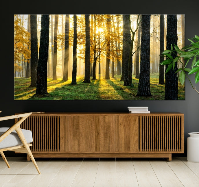 Forest Trees Sunshine Large Wall Art Canvas Print