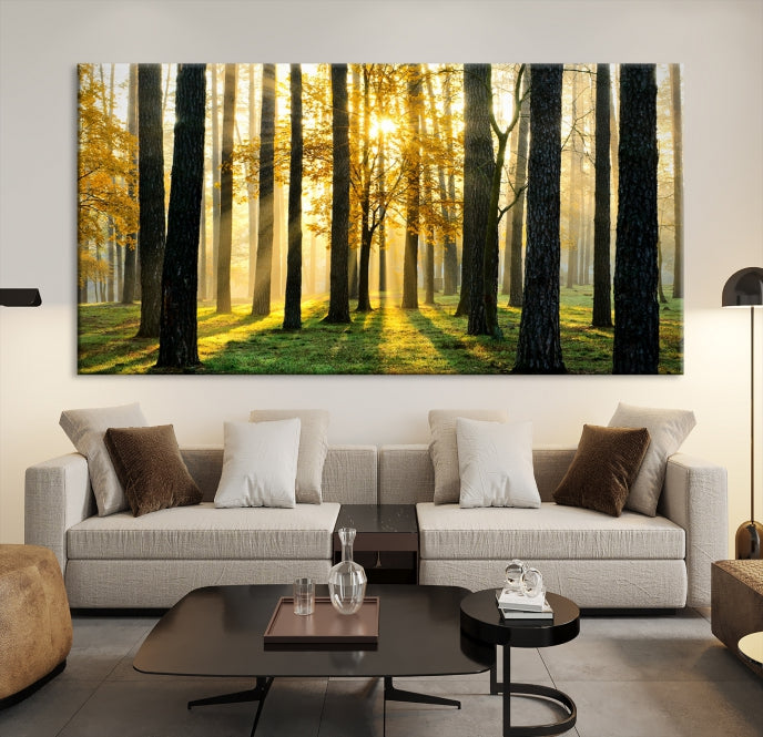 Forest Trees Sunshine Large Wall Art Canvas Print