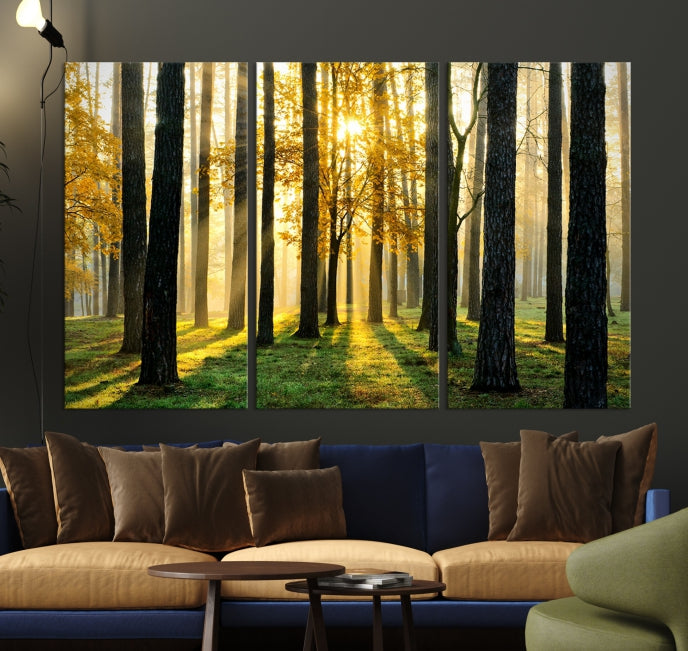 Forest Trees Sunshine Large Wall Art Canvas Print