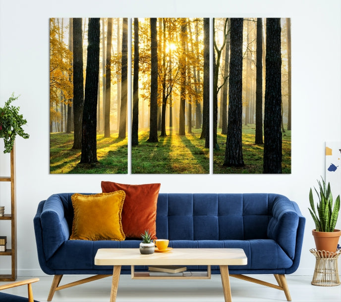 Forest Trees Sunshine Large Wall Art Canvas Print