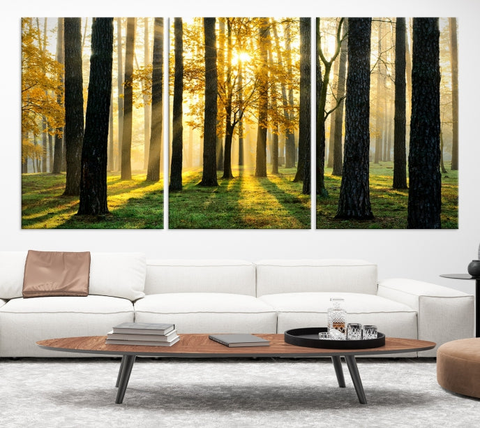 Forest Trees Sunshine Large Wall Art Canvas Print