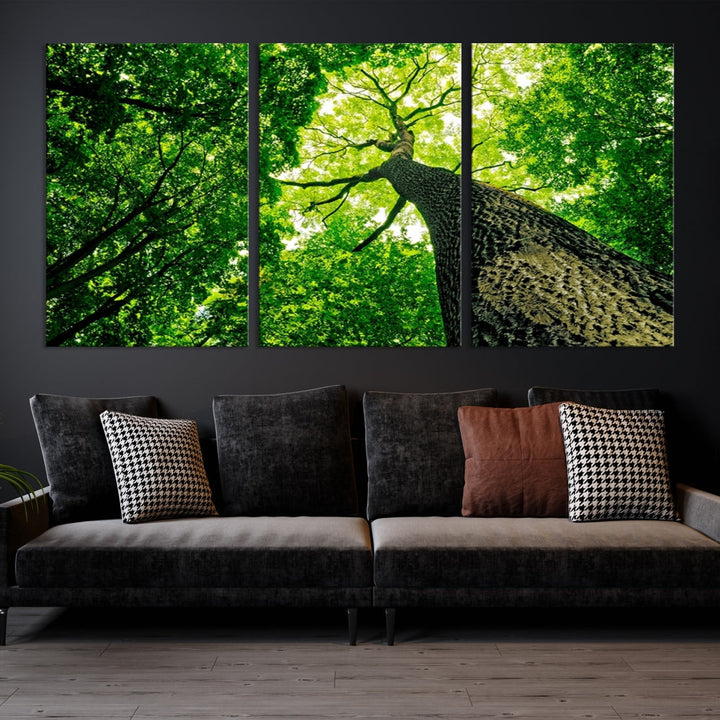 Green Tree View Taken from Ground Forest Giclee Canvas Framed Wall Art Print