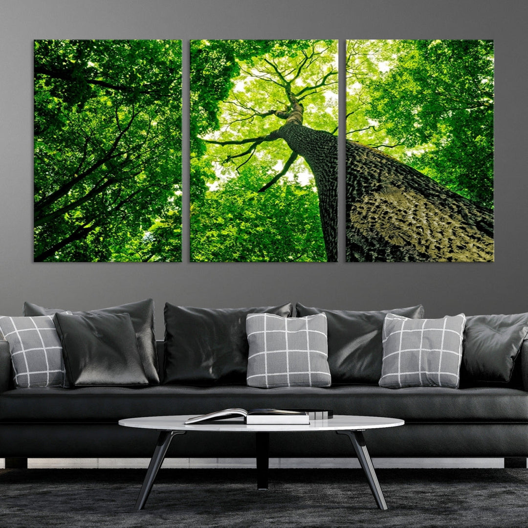 Green Tree View Taken from Ground Forest Giclee Canvas Framed Wall Art Print