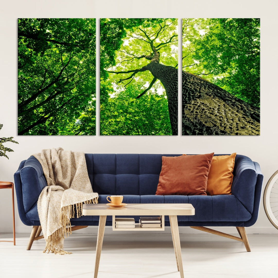 Green Tree View Taken from Ground Forest Giclee Canvas Framed Wall Art Print