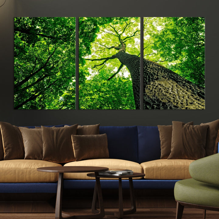 Green Tree View Taken from Ground Forest Giclee Canvas Framed Wall Art Print