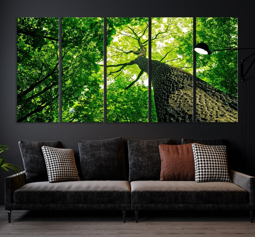 Green Tree View Taken from Ground Forest Giclee Canvas Framed Wall Art Print