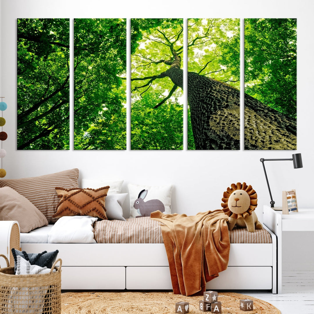 Green Tree View Taken from Ground Forest Giclee Canvas Framed Wall Art Print