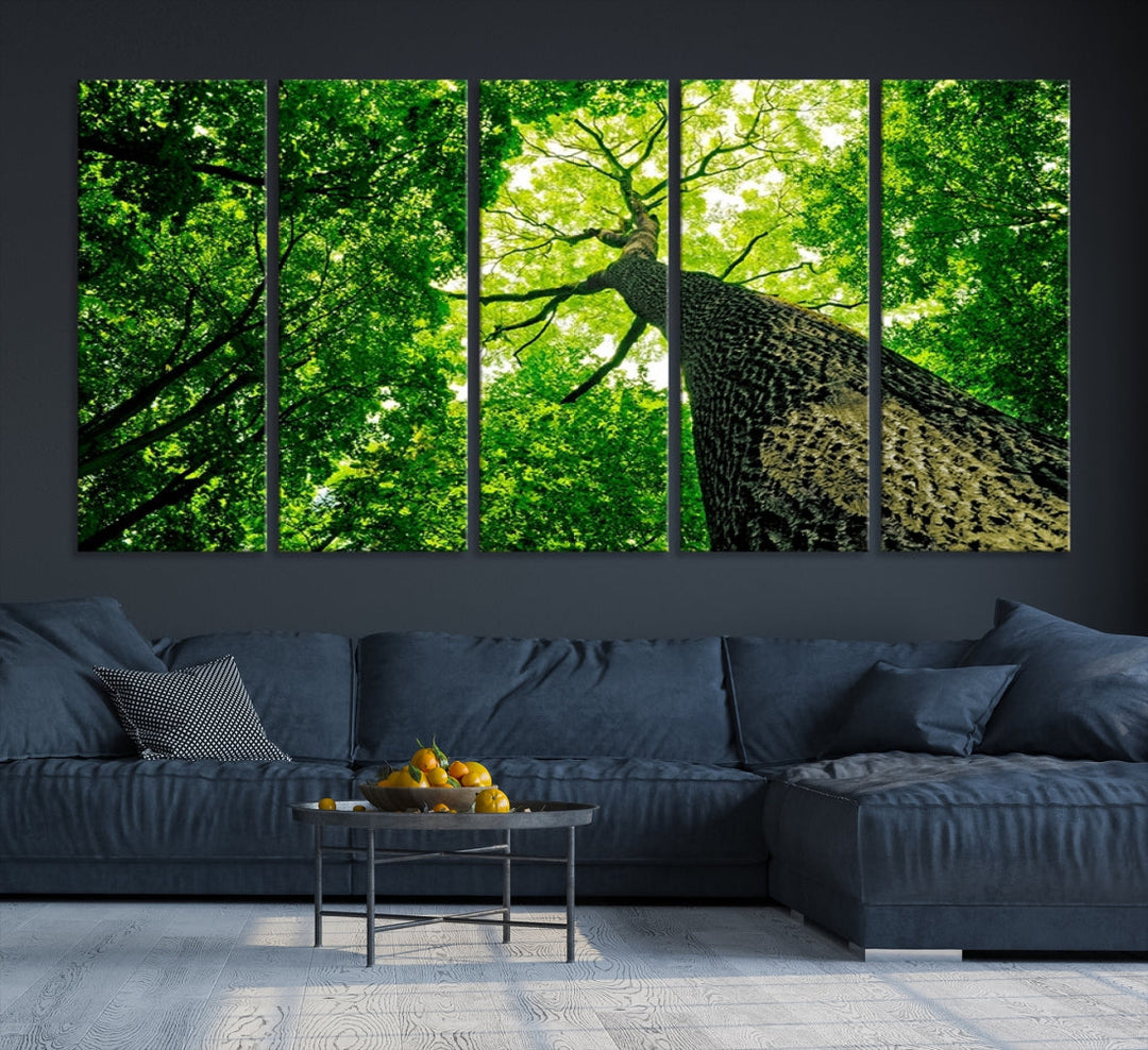 Green Tree View Taken from Ground Forest Giclee Canvas Framed Wall Art Print