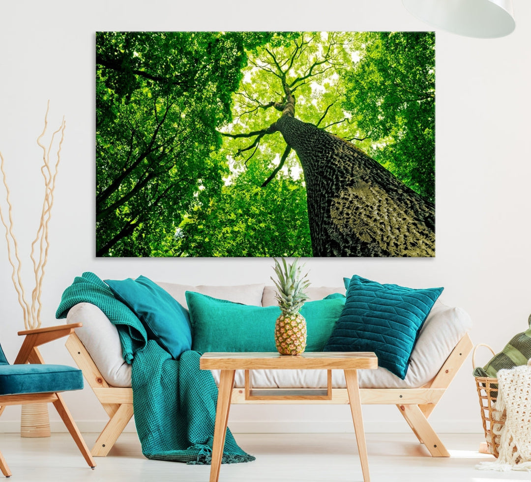 Green Tree View Taken from Ground Forest Giclee Canvas Framed Wall Art Print