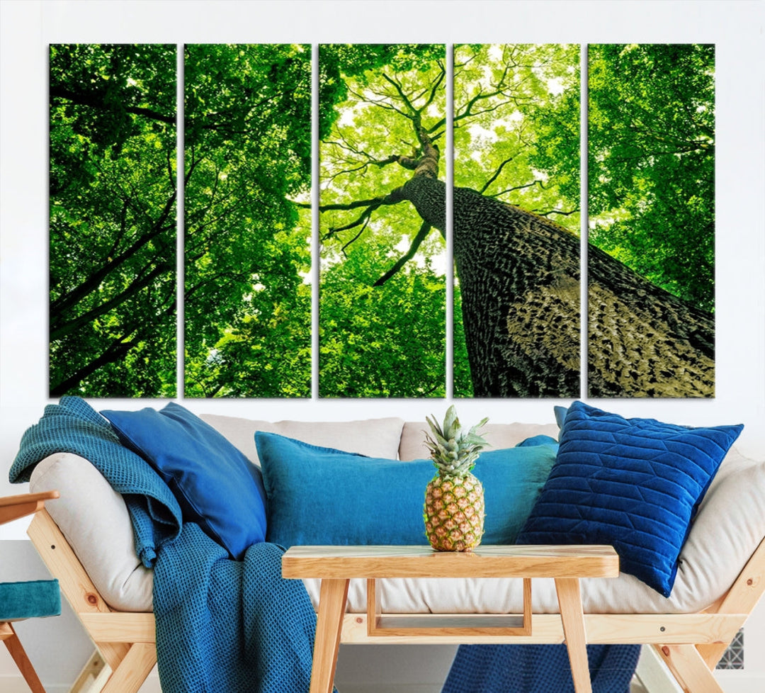 Green Tree View Taken from Ground Forest Giclee Canvas Framed Wall Art Print