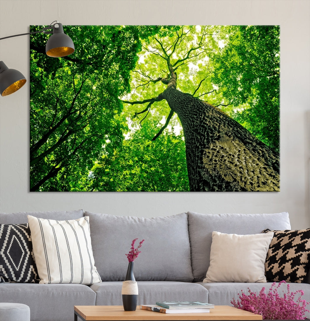 Green Tree View Taken from Ground Forest Giclee Canvas Framed Wall Art Print