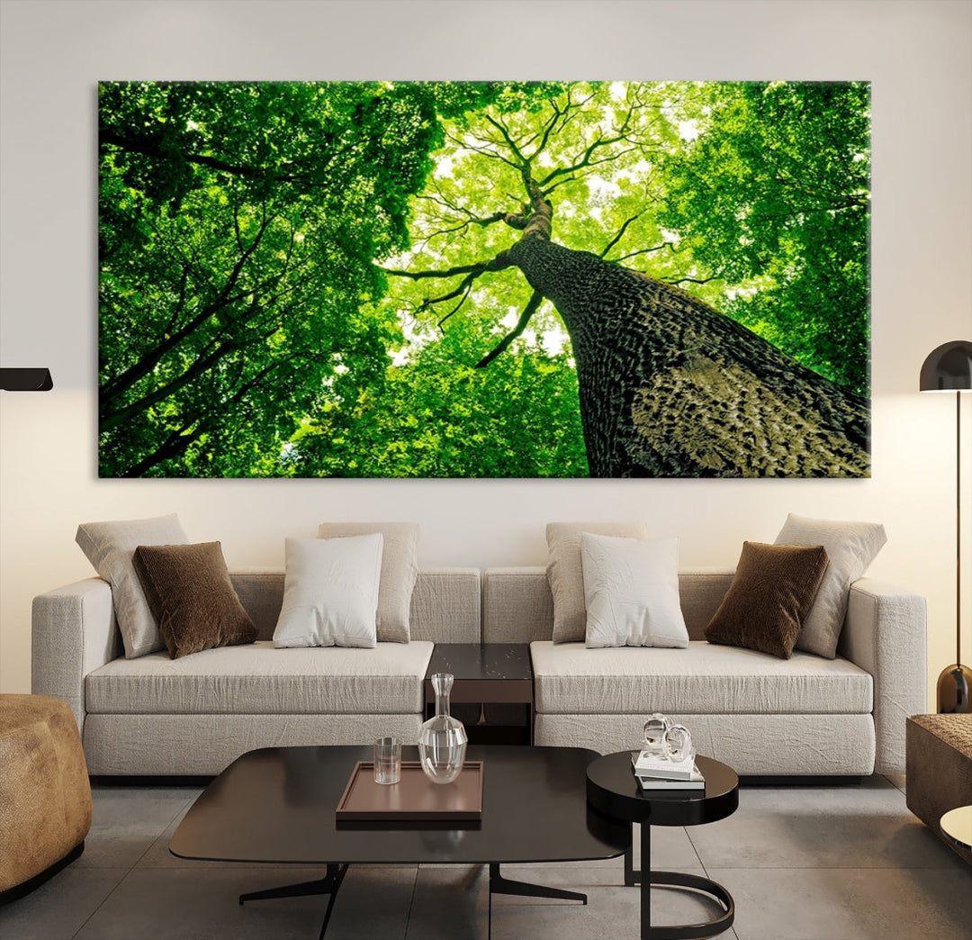 Green Tree View Taken from Ground Forest Giclee Canvas Framed Wall Art Print