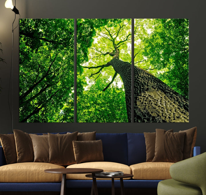 Green Tree View Taken from Ground Forest Giclee Canvas Framed Wall Art Print